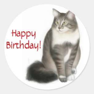 Redonda Pegatina del feliz cumpleaños del gato de Coon de
