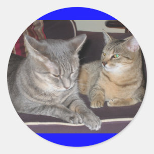 Redonda Pegatina del gato
