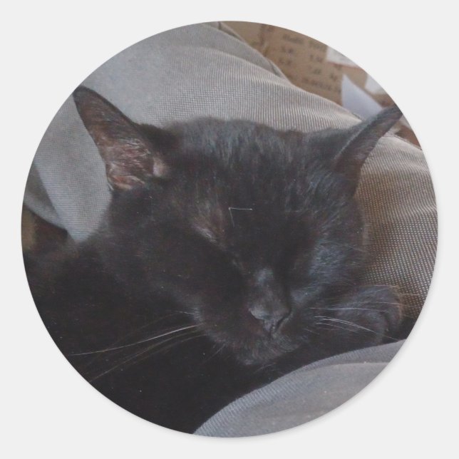 Redonda Pegatina del gato durmiente (Anverso)