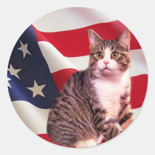 Redonda Pegatina del gato todo americano