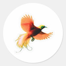 Pegatina del majestuoso pájaro Cendrawasih - loro