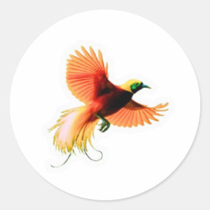 Redonda Pegatina del majestuoso pájaro Cendrawasih - loro 