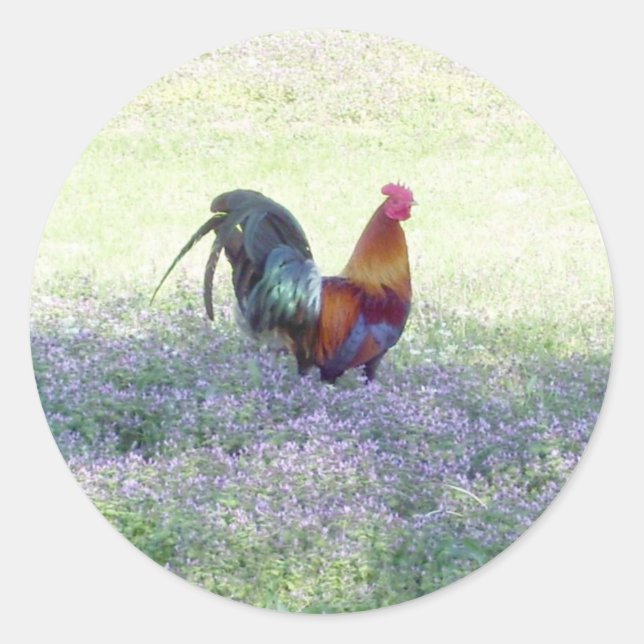 Redonda Pegatina del Orgullo Feathered (Anverso)