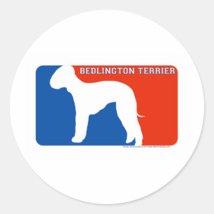 Redonda Pegatina del perro de la primera división de
