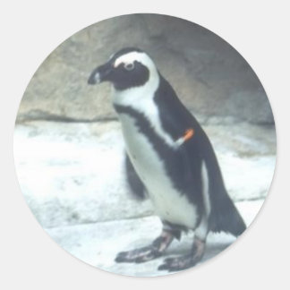 Redonda Pegatina del pingüino