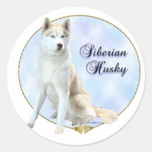 Redonda Pegatina del retrato del husky siberiano