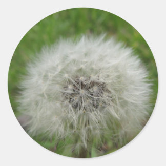 Redonda pegatina deseable