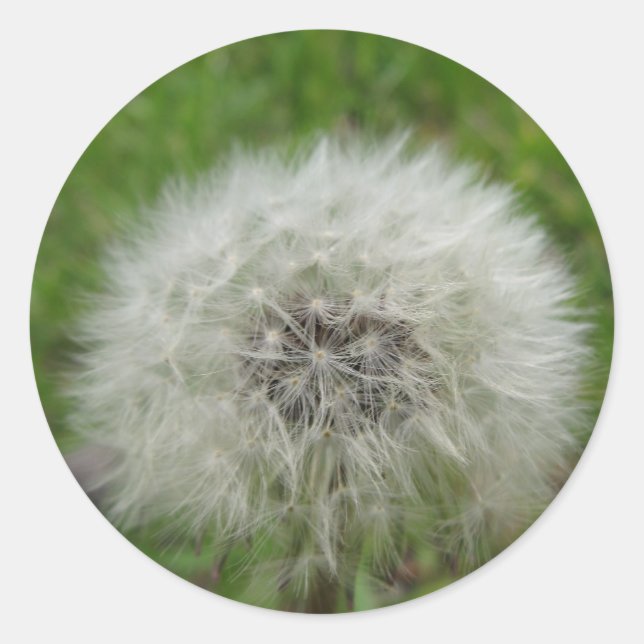 Redonda pegatina deseable (Anverso)