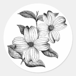 Redonda Pegatina Dogwood