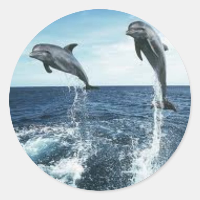 REDONDA PEGATINA DOLPHINS (Anverso)