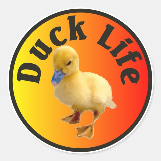 Redonda Pegatina Duck Life (Anverso)