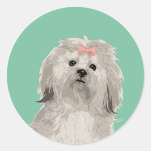 Redonda Pegatina dulce de Lasa Apso para los amantes del
