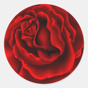 Redonda Pegatina elegante del rosa rojo