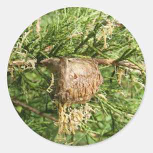 Redonda Pegatina emergente del ~ del predicador