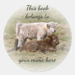 Redonda Pegatina "Este libro pertenece a Highland Cow"