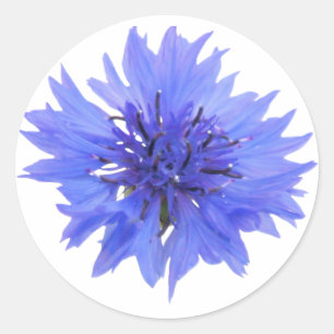 Redonda pegatina - flor azul único