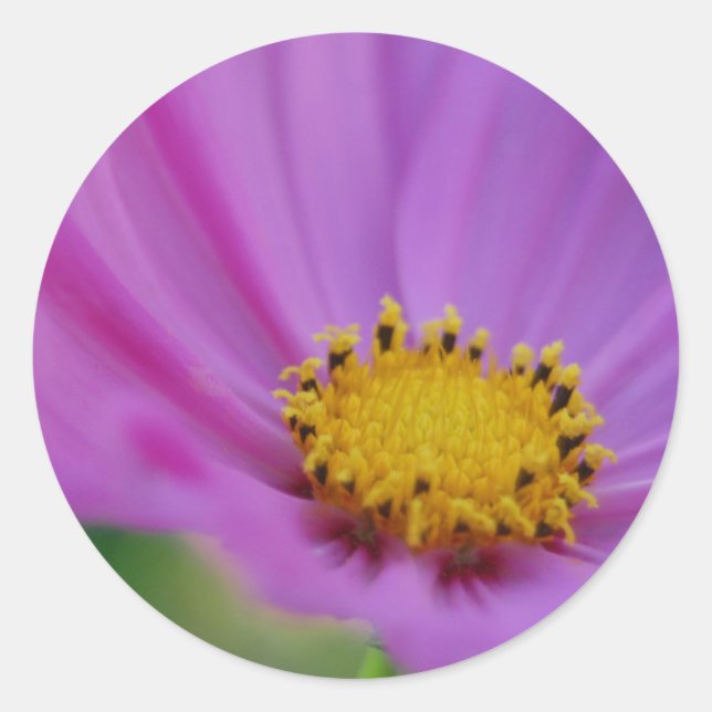 Redonda Pegatina floral (Anverso)