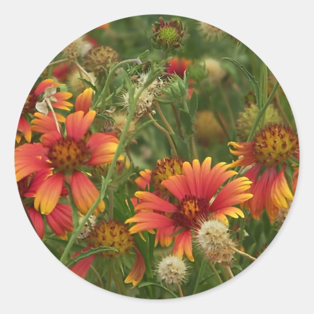 Redonda pegatina floral de verano (Anverso)