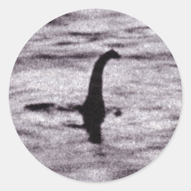 Redonda Pegatina fotográfico de cirujano (Anverso)