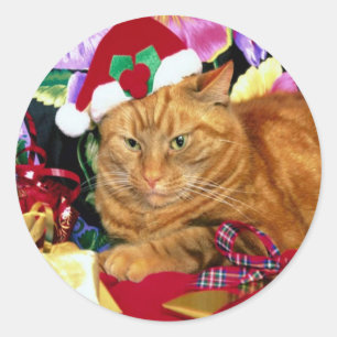 Redonda Pegatina - Gato usando Gorra de Santa Claus