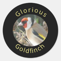 Pegatina Goldfinch