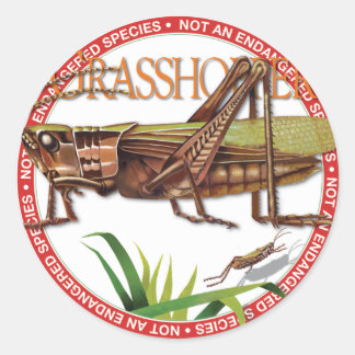 Redonda Pegatina Grasshopper
