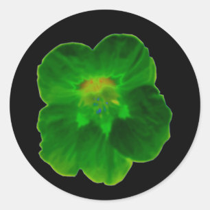 Redonda Pegatina Green Nasturtium