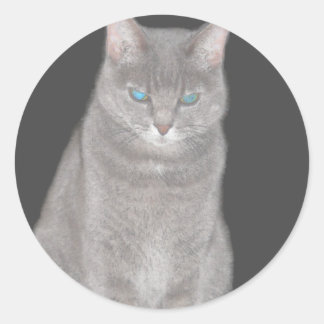 Redonda Pegatina Gris Cat