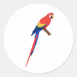 Redonda Pegatina guacamaya