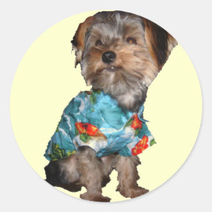 Redonda Pegatina hawaiano de Yorkie