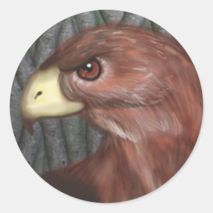 Redonda Pegatina Hawk