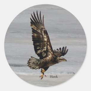 Redonda Pegatina Hawk