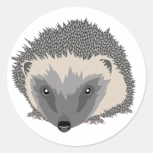 Redonda Pegatina Hedgehog