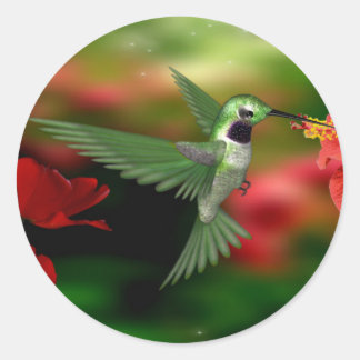 Redonda Pegatina Hummingbird