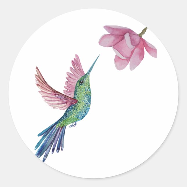 Redonda Pegatina Hummingbird (Anverso)