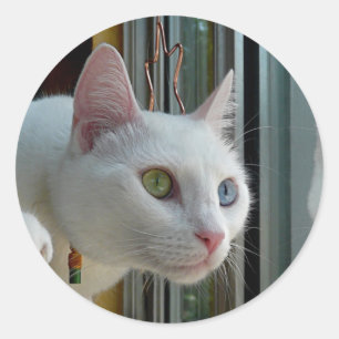 Redonda Pegatina interesado en la serenidad