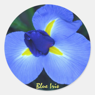 Redonda Pegatina Iris Azul