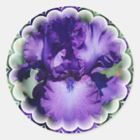 Pegatina Iris De Púrpura