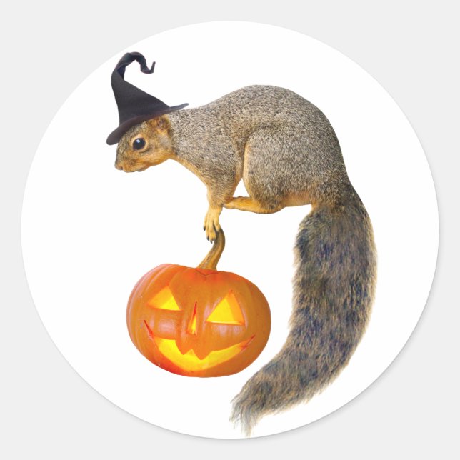 Redonda Pegatina Jack-o-Lantern de Witch Squirrel (Anverso)