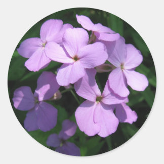 Redonda Pegatina Lavendar Wildflower