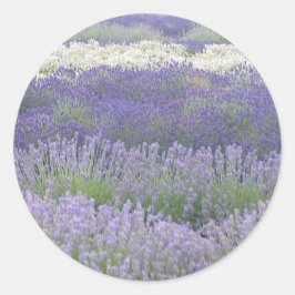 Redonda Pegatina Lavender
