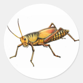 Redonda Pegatina Lubber Grasshopper