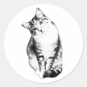 Redonda Pegatina monocromo del gato del gato inclinado de