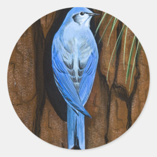Redonda Pegatina "Mountain Bluebird"