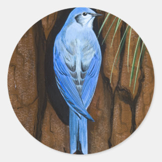 Redonda Pegatina "Mountain Bluebird"