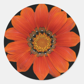 Redonda Pegatina naranja Flor2