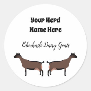 Redonda Pegatina Oberhasli Dairy Goat personalizado