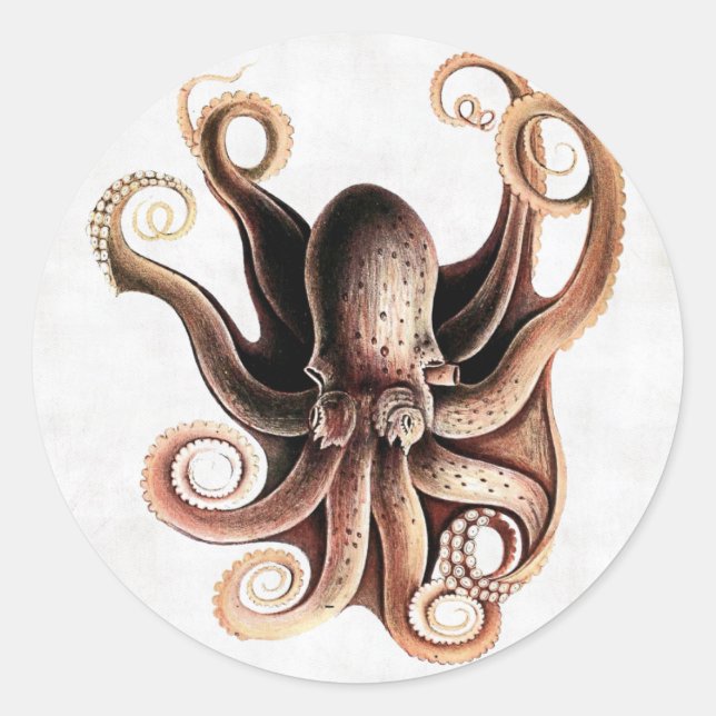 Redonda Pegatina Octopus (Anverso)