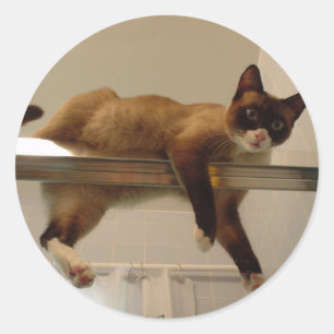 Redonda Pegatina Pancake