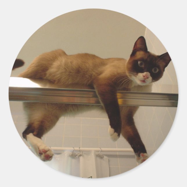 Redonda Pegatina Pancake (Anverso)